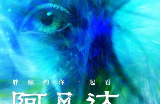 活动回顾｜影院化身多元社交空间，胖鲸与你的阿凡达之约