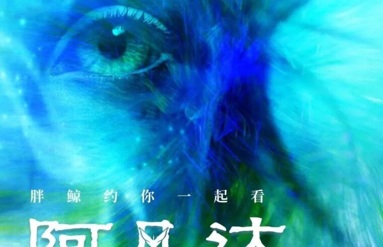 活动回顾｜影院化身多元社交空间，胖鲸与你的阿凡达之约