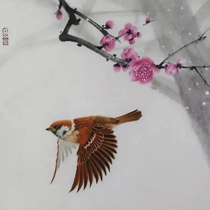 一花、一鸟、一世界，真美！