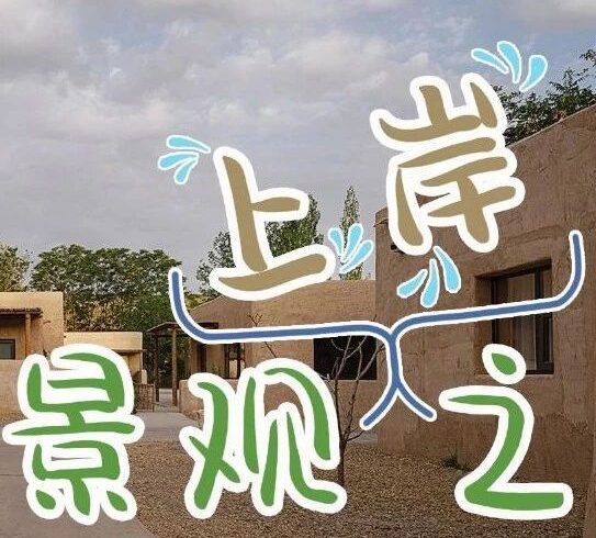 塞上江南，宁夏 ！2023年宁夏回族自治区公务员招考 “景观岗位” 分析
