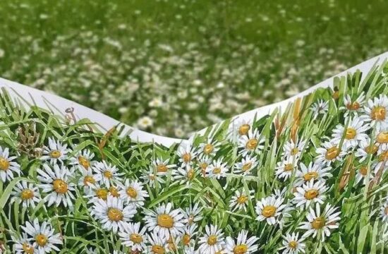 普通画纸上开出的花
