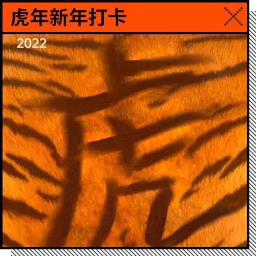 虎年到！优设的小伙伴正在打卡自己的虎年，大家快来围观