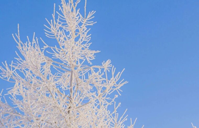 壁纸 | 小雪人的梦境
