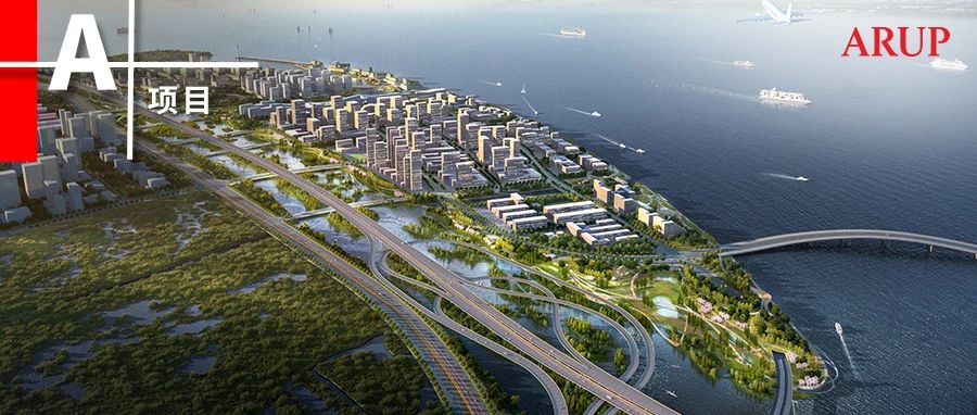 中标 | 向海而生,“深”生不息：深圳市海洋新兴产业基地生态修复工程设计