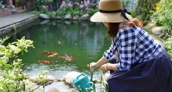 亲自设计并打理一个600多平的花园，是一种什么样的体验？