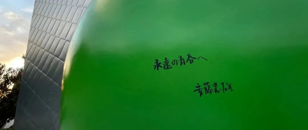 安藤忠雄青春展延长至1月9日晚8点闭幕