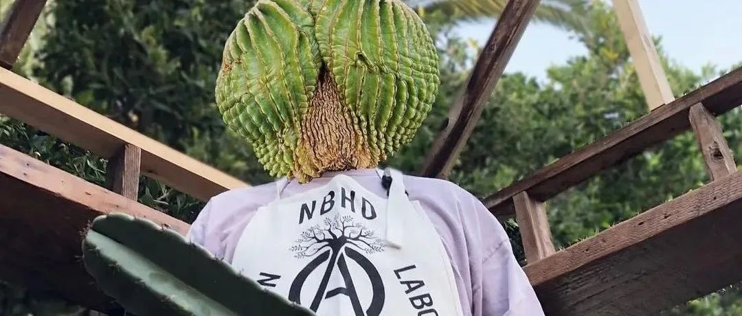 最潮阳台种植人们，看看吹爆了的泷泽伸介-SRL种地装备