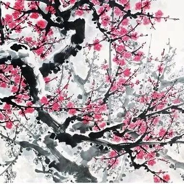 这雪中红梅图，养心！