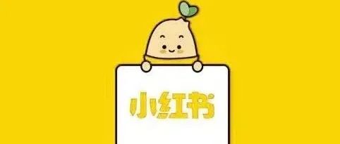 我伪装成12岁女孩注册小红书，主页全是擦边球？
