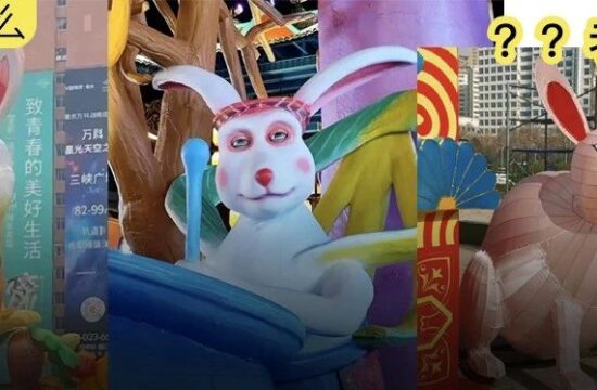 南宁兔子：没错，我们就是“丑美”设计理念！东北的兔子实在是...兔爷！