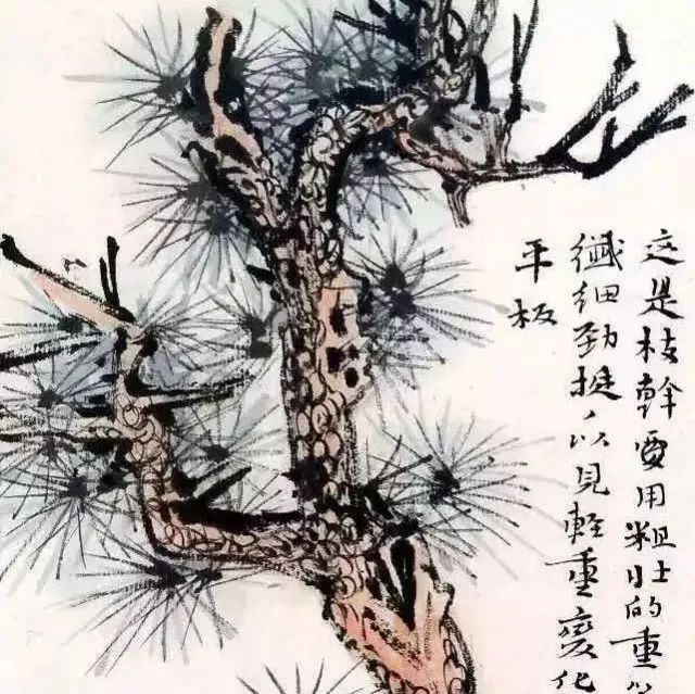 难得一见的陆俨少画树课徒稿！