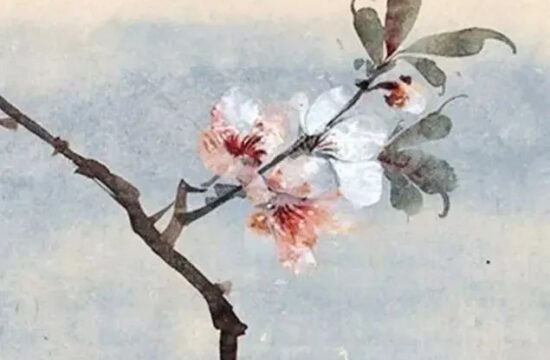 国画，名家桃花鹦鹉图集萃