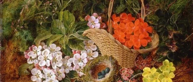 英国画家乔治·克莱尔 花卉油画作品欣赏