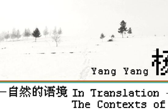杨洋：当我在影像中渐渐消失