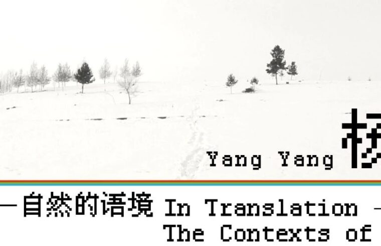 杨洋：当我在影像中渐渐消失