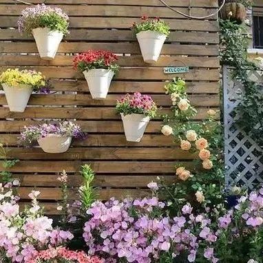 他花了6万，将毛坯院子打造成花园，50㎡的院子种植了60多种植物