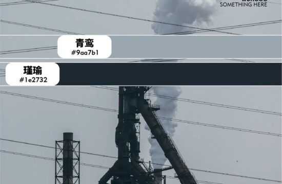 武 汉 国 色 美 学