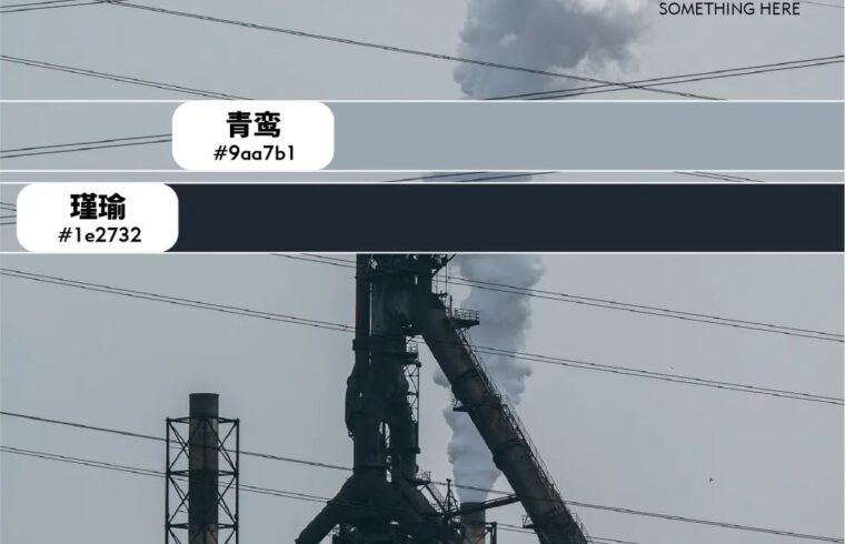 武 汉 国 色 美 学