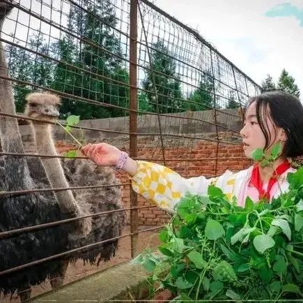 这所学校的种植园火了！它凭啥？