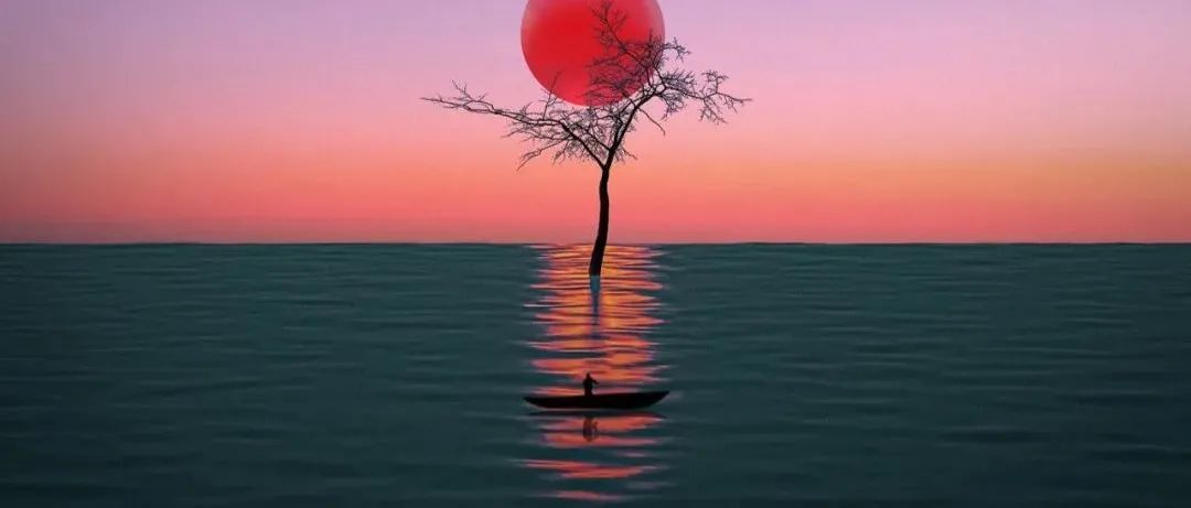 影像纯粹的画面真的很梦幻！