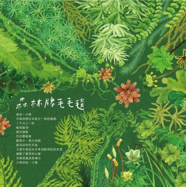 2023林务局《小千之森》月历设计，绘出森林中被忽视的微物风景！