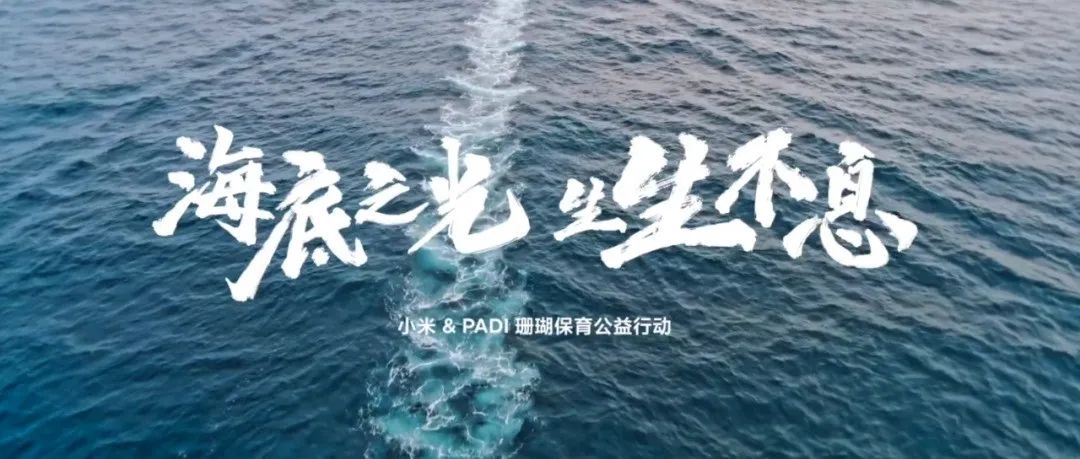 小米&PADI爱海洋探秘「海底之光」，公益能量溢出屏幕