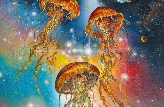 罗伯特·纳尔逊的艺术,激发了保护自然和动物的行动号召!