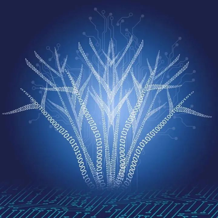 未来计算图鉴：十年后的计算长什么模样？