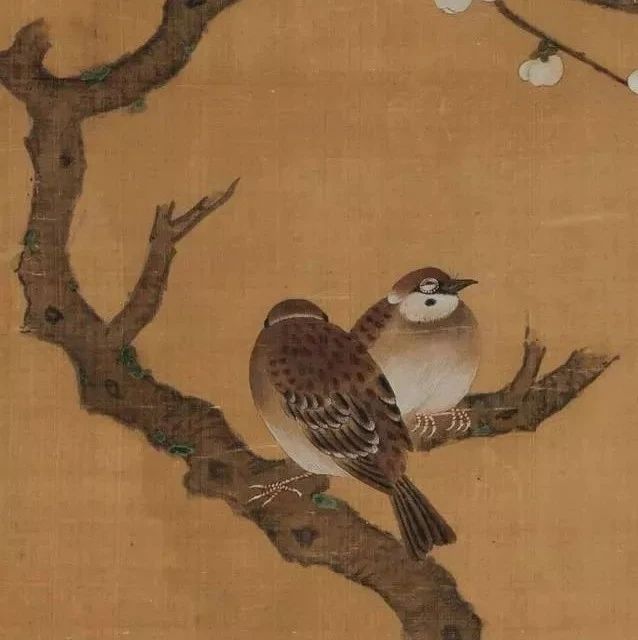 明代才女 周淑禧《梅雀图》雅赏