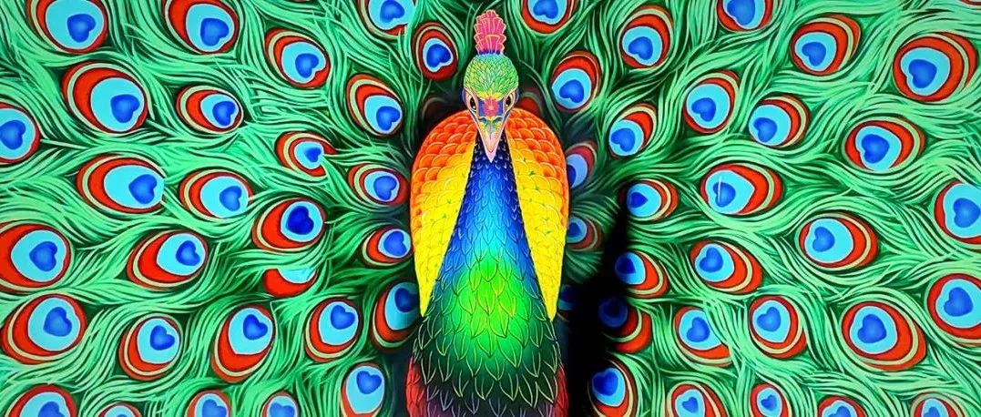 在腾冲最诗意的村落,围观一只孔雀的诞生!