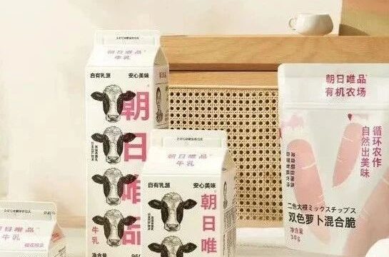 对话朝日唯品：可持续叙事可以有几重表达？ ｜野品牌003