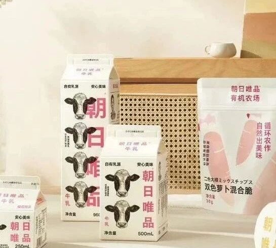 对话朝日唯品：可持续叙事可以有几重表达？ ｜野品牌003