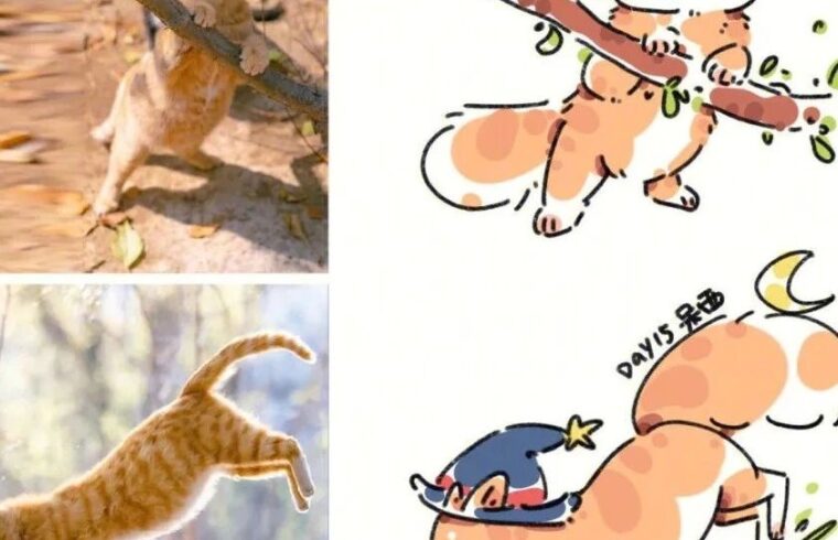 插画教程｜各种不同姿势形态的猫咪，这也太可爱了吧，萌化了！