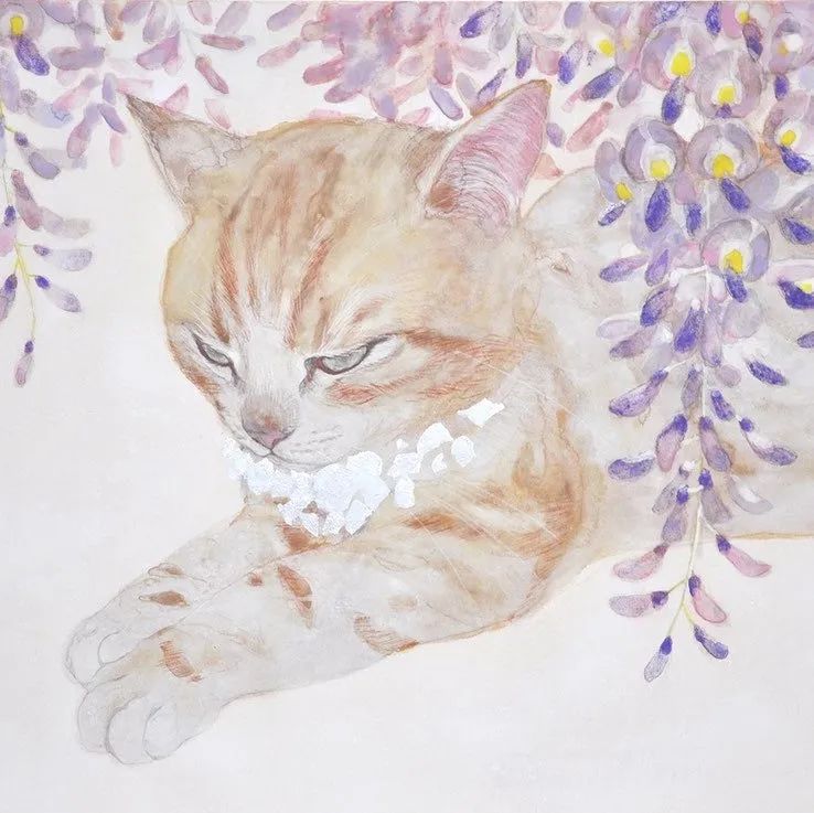 猫姿百态Haruka Kuno 久野悠绘画作品