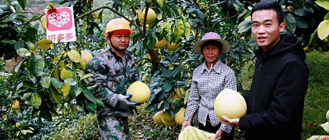 “脱城返乡”，小镇青年撑起中国新农经济的蓝海