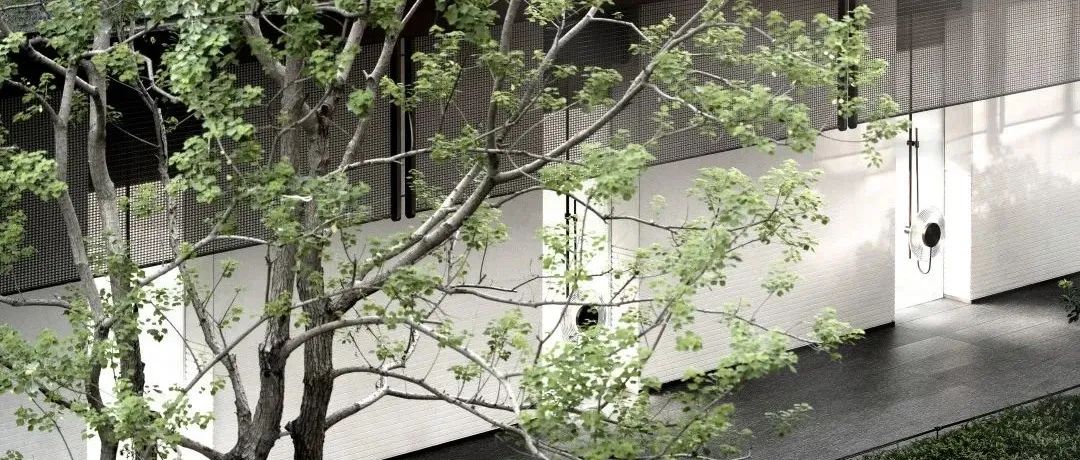 矩阵首发｜城市绿肺 无界之界   深圳中海观园