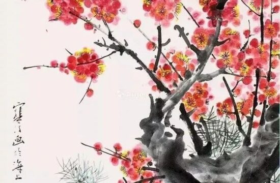 一组赏心悦目的梅花图！