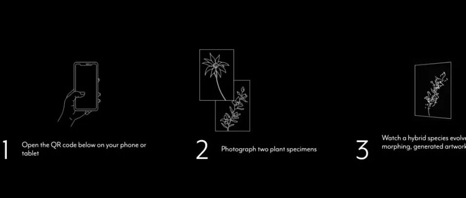 [ 无限的植物标本集 ] Infinite Herbarium - 艺术·科学·人工智能的植物学体验