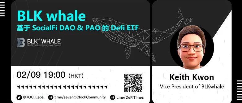 BLK whale基于SocialFi DAO&PAO的Defi ETF