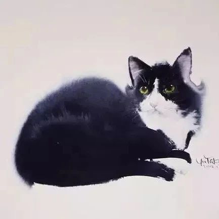 猫咪水彩画竟然也如此精彩！