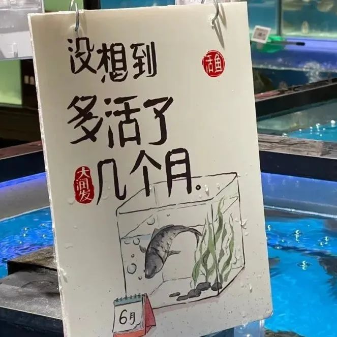 上海一超市写了组有趣文案