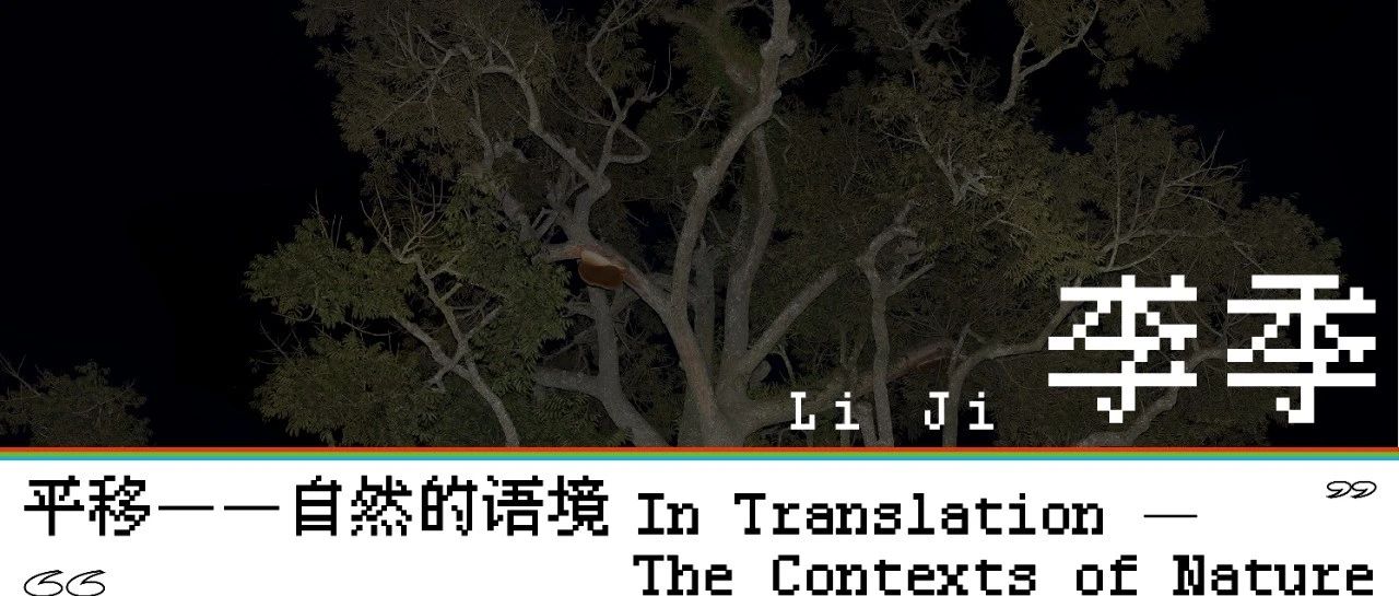 李季：树木的灵魂在雨林中游荡
