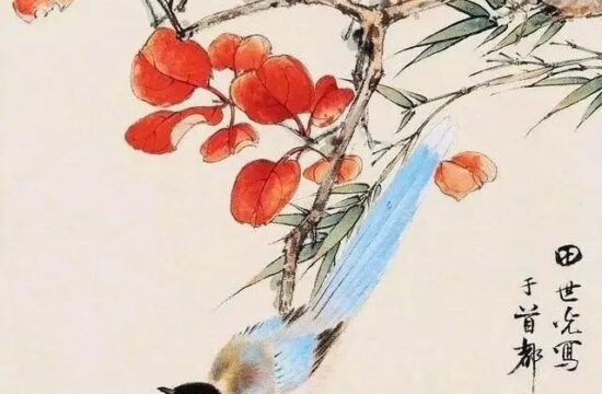 田世光花鸟画中的秋天，真美