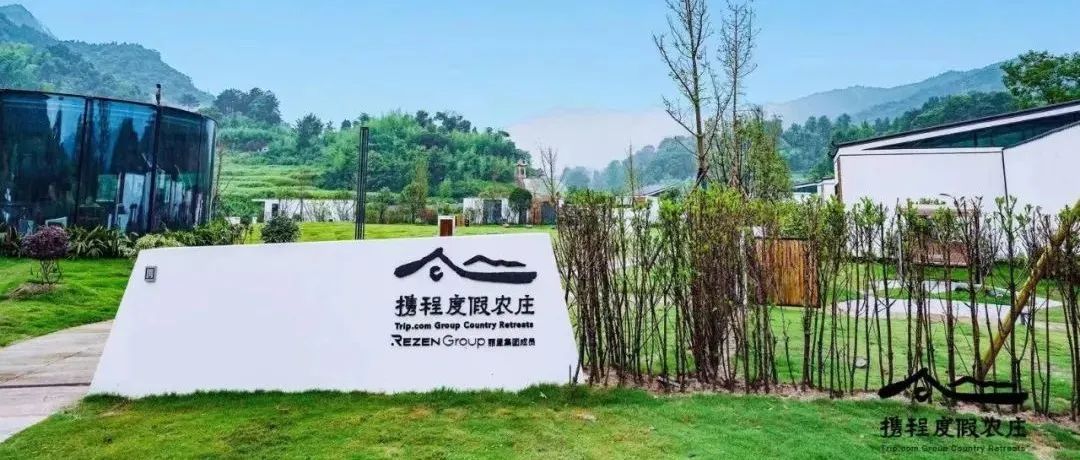 穿越疫情寒冬，携程做对了什么？