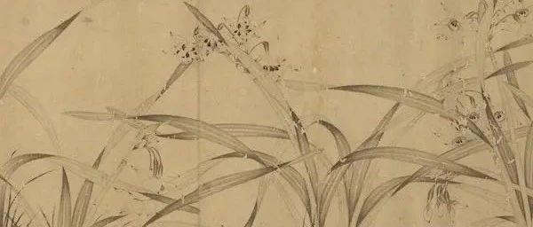 故宫花信｜水仙：得水能仙，翠袖黄冠