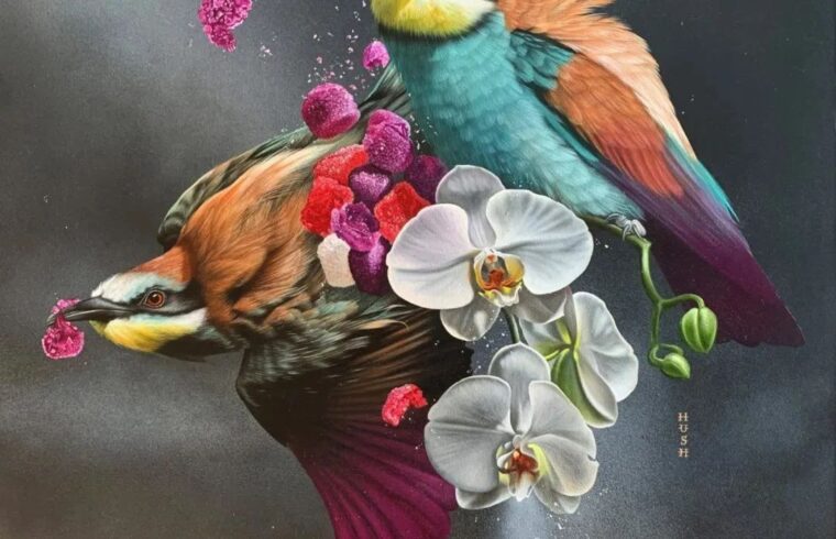 超精细！超现实风格动物插画作品