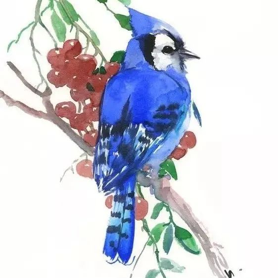 Suren Nersisyan  亚美尼亚艺术家绘画作品欣赏