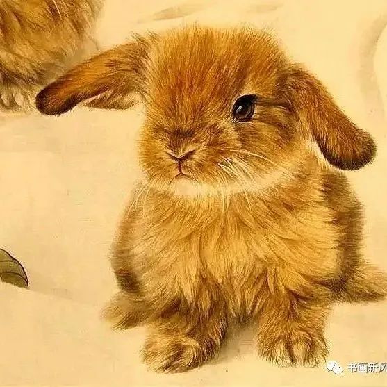 明年是兔年，提前送您一组最可爱的小兔兔！