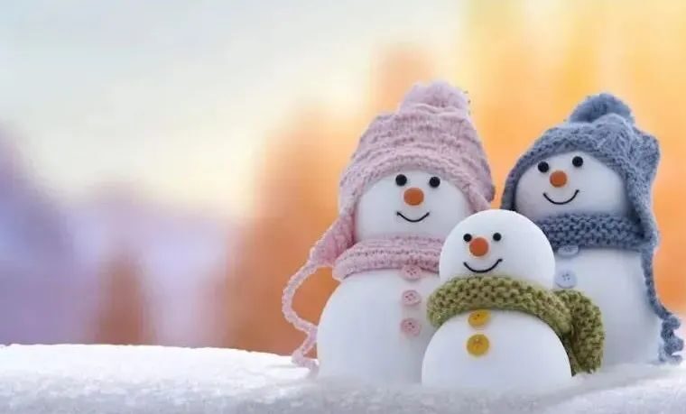 【节气-大雪】往期大雪地产微信海报精选鉴赏