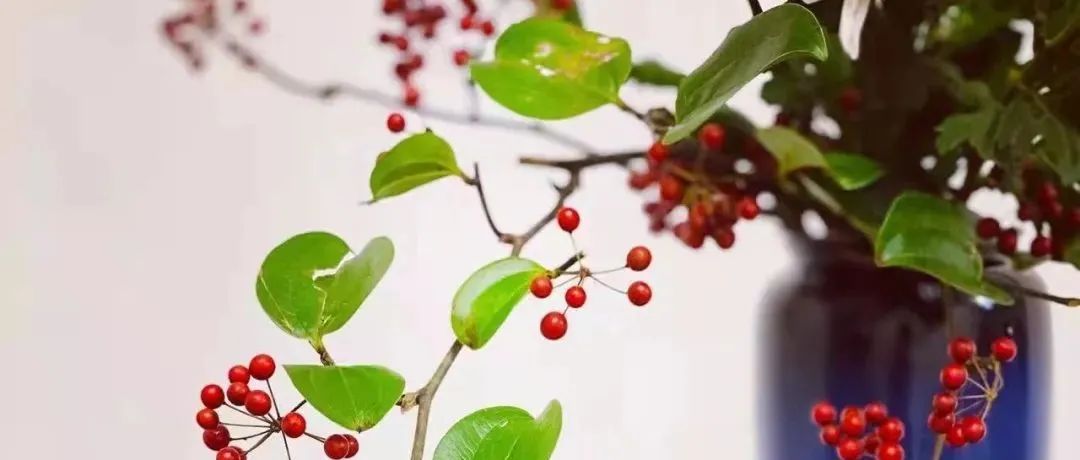 新年花艺灵感秘籍，就在松美术馆！